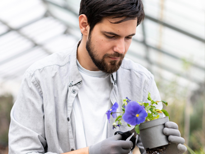 Agro Based Technician